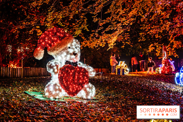 Lumières en Seine 2025, les photos du parcours de lumières - A7C00390
