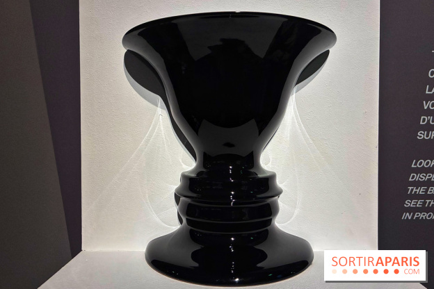 MC. Escher à la Monnaie de Paris - IMG 0837