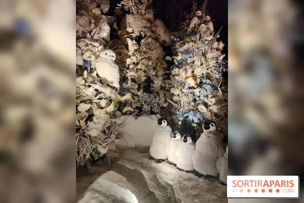 Le Grand Noël 2025 du château de Vaux-le-Vicomte : des décorations magiques pour une balade hivernale mémorable - fotor 1763143898130