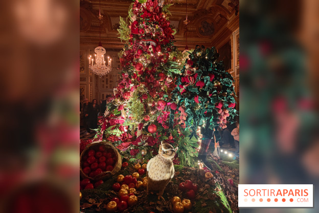 Le Grand Noël 2025 du château de Vaux-le-Vicomte : des décorations magiques pour une balade hivernale mémorable - fotor 1763143767663