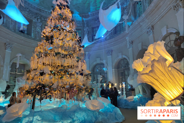 Le Grand Noël 2025 du château de Vaux-le-Vicomte : des décorations magiques pour une balade hivernale mémorable - fotor 1763143714138