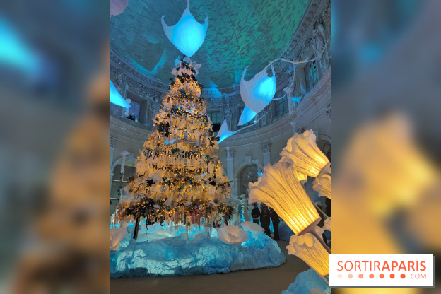 Le Grand Noël 2025 du château de Vaux-le-Vicomte : des décorations magiques pour une balade hivernale mémorable