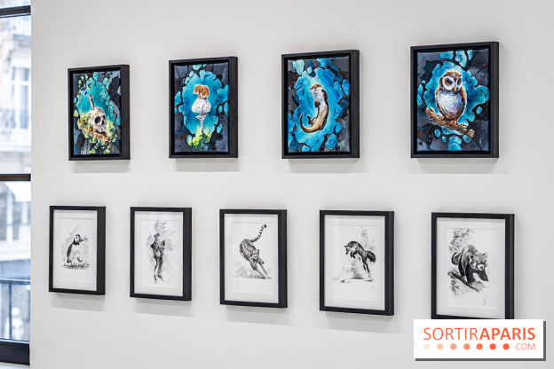 Le Festival Street-art de la Poste du Louvre 2025, les photos - A7C00815