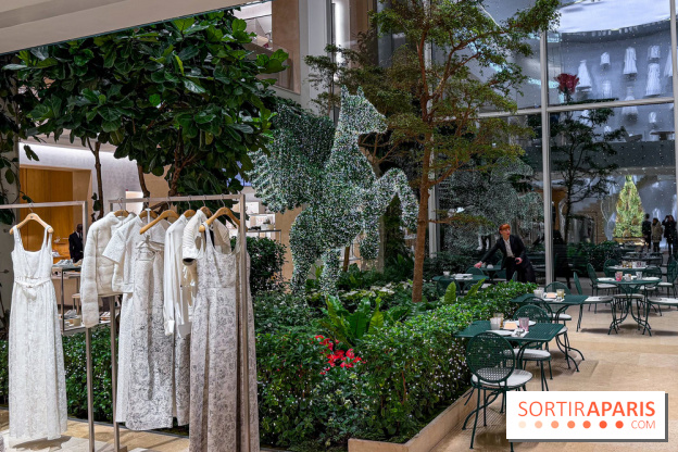 Noël 2025 Dior 30 Montaigne - IMG 1956