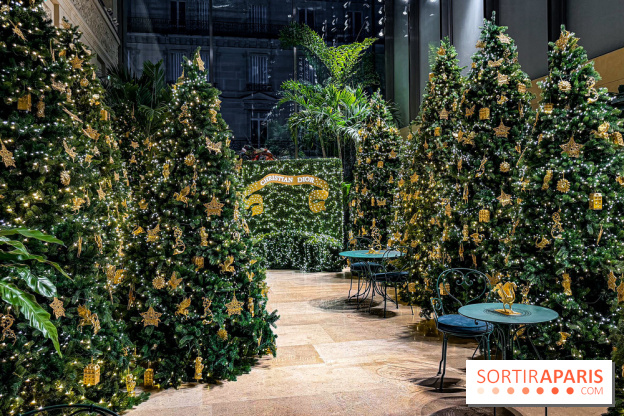 Noël 2025 Dior 30 Montaigne - IMG 1968