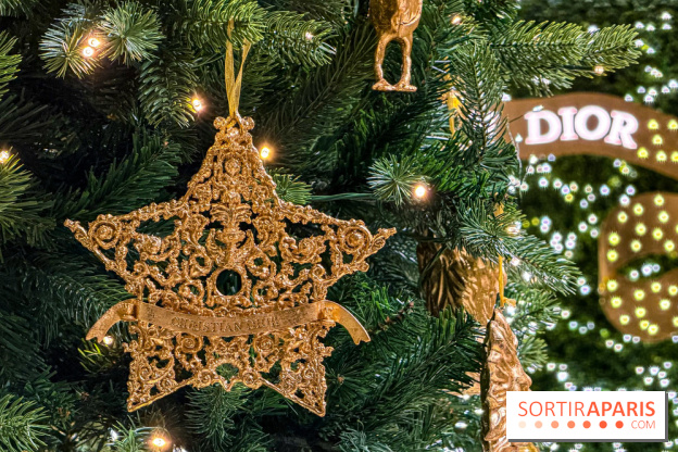 Noël 2025 Dior 30 Montaigne - IMG 1973