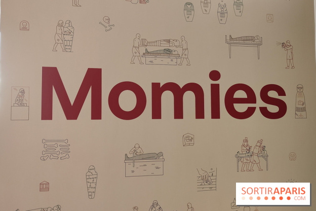 Momies : une exposition insolite et troublante à découvrir au musée de l'Homme - fotor 1763471212956