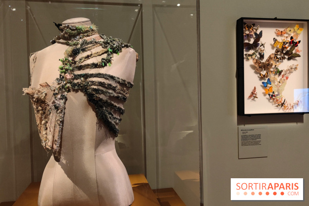 Momies : une exposition insolite et troublante à découvrir au musée de l'Homme - fotor 1763471284495