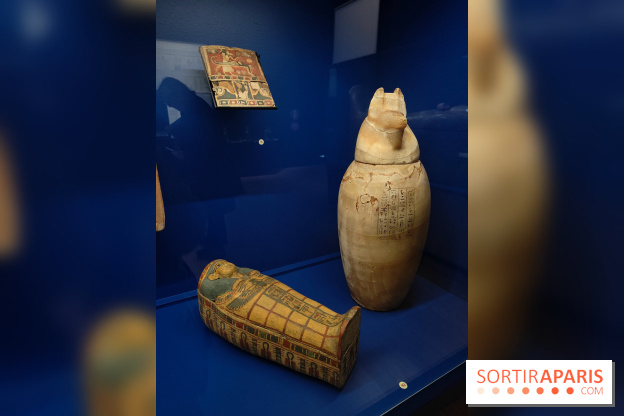 Momies : une exposition insolite et troublante à découvrir au musée de l'Homme - fotor 1763471473324