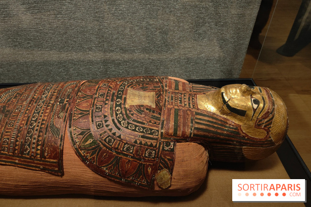 Momies : une exposition insolite et troublante à découvrir au musée de l'Homme - fotor 1763471518273