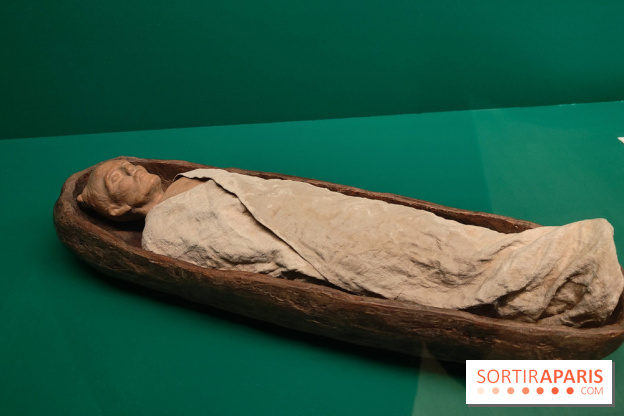 Momies : une exposition insolite et troublante à découvrir au musée de l'Homme - fotor 1763471553968