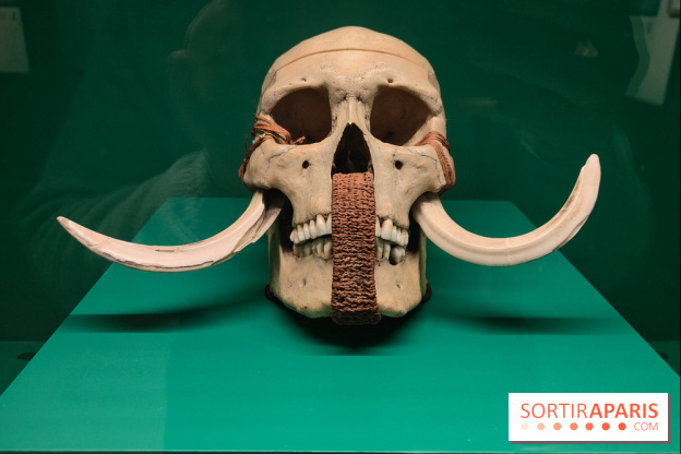 Momies : une exposition insolite et troublante à découvrir au musée de l'Homme - fotor 1763471574922