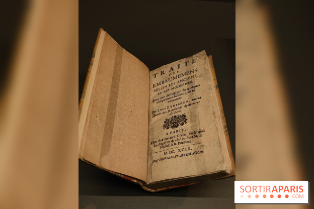 Momies : une exposition insolite et troublante à découvrir au musée de l'Homme - fotor 1763471586629