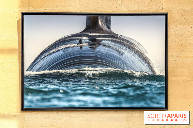 Les Peintres de la Marine : l’exposition dédiée à l’univers maritime à l’Espace Richaud à Versailles - IMG 1865