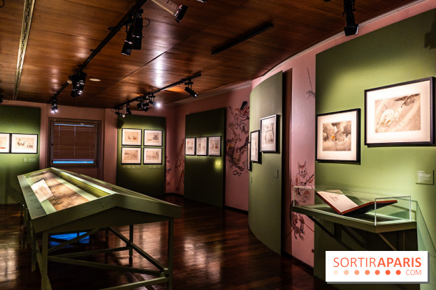 Exposition Manga au Musée Guimet, les photos  - A7C01132