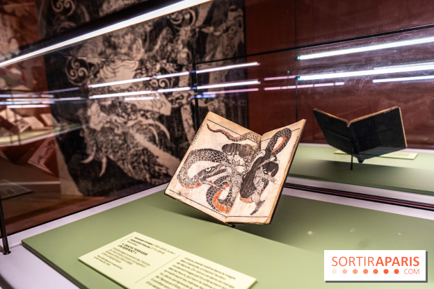 Exposition Manga au Musée Guimet, les photos  - A7C01148