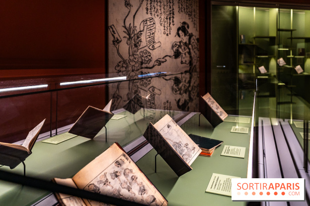 Exposition Manga au Musée Guimet, les photos  - A7C01149