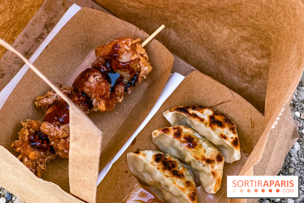 Versailles Electro 2025, la soirée electro du château de Versailles  - IMG 5091