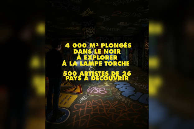 Explorez le Zoo Art Show dans le noir