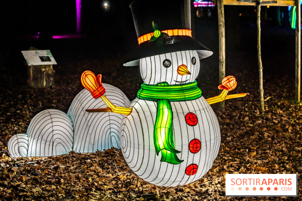 L'Odyssée Lumineuse au Parc Floral 2025, les photos