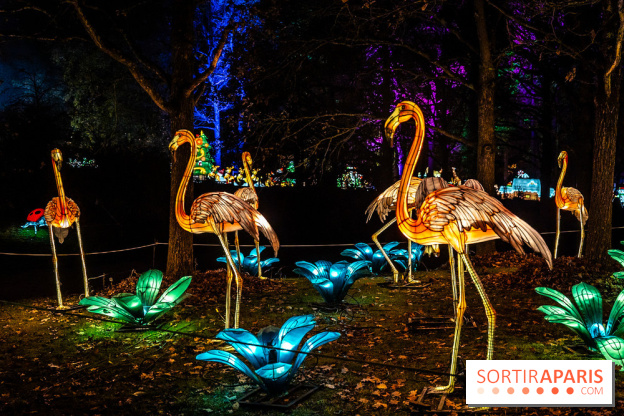 L'Odyssée Lumineuse au Parc Floral 2025, les photos