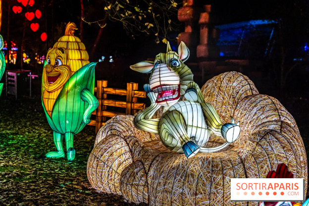 L'Odyssée Lumineuse au Parc Floral 2025, les photos