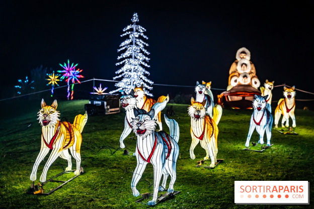 L'Odyssée Lumineuse au Parc Floral 2025, les photos