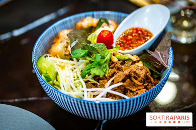Amour du Vietnam, le restaurant Vietnamien Paris 14e - A7C01614