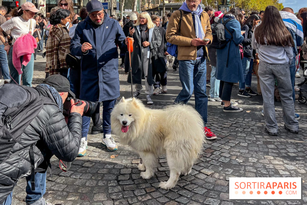 La Marche des animaux à Paris : défilé gratuit, ouvert aux chiens, chats ... sur les Champs-Élysées