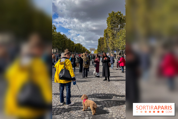 La Marche des animaux à Paris : défilé gratuit, ouvert aux chiens, chats ... sur les Champs-Élysées