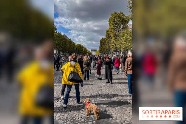 La Marche des animaux à Paris : défilé gratuit, ouvert aux chiens, chats ... sur les Champs-Élysées