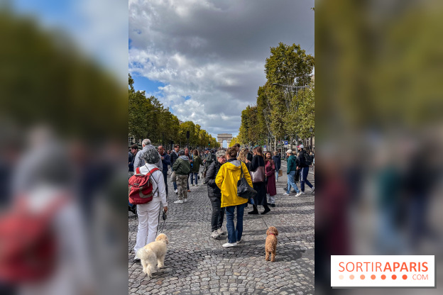 La Marche des animaux à Paris : défilé gratuit, ouvert aux chiens, chats ... sur les Champs-Élysées