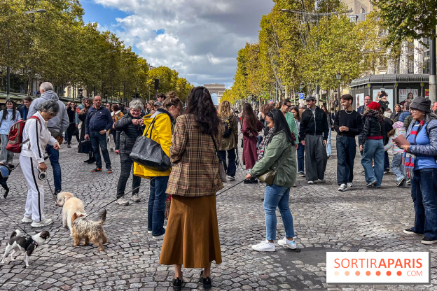 La Marche des animaux à Paris : défilé gratuit, ouvert aux chiens, chats ... sur les Champs-Élysées