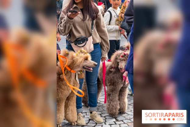 La Marche des animaux à Paris : défilé gratuit, ouvert aux chiens, chats ... sur les Champs-Élysées