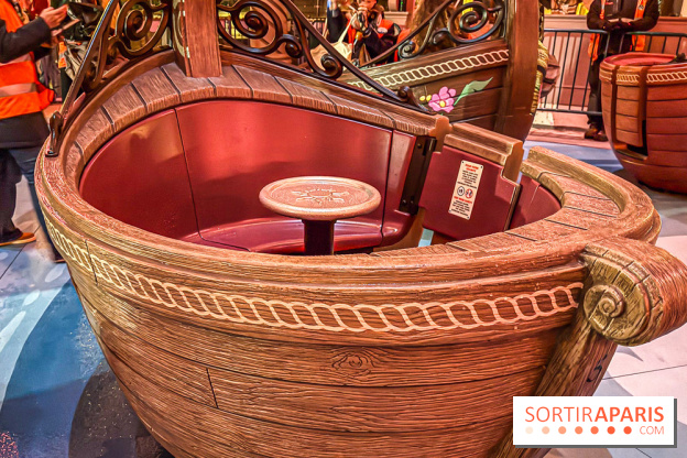 Raiponce Tangled Spin  - IMG 2196