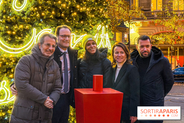 Les illuminations de Noël 2025 du Boulevard Haussmann - IMG 2302