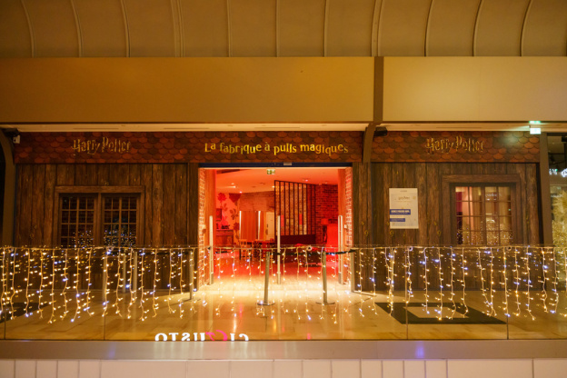 Harry Potter s'invite à Val d’Europe pour les fêtes de Noël ! - VDE 221125 HarryPotter 266