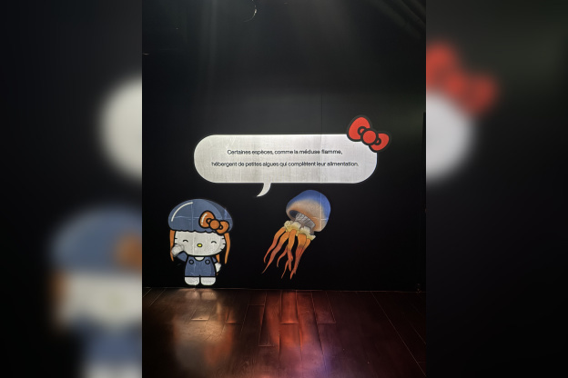 Hello Kitty et ses amis célèbrent les fêtes de fin d'année à l'Aquarium de Paris ! - IMG 8254