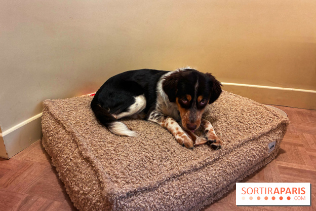 Brume Studio - IMG 1187