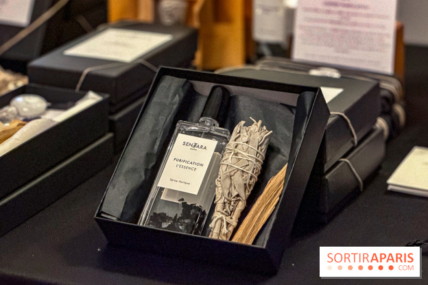 Noël 2025 à Paris : le charmant Marché de Noël dans une suite de l'Hôtel de Crillon  - IMG 3316