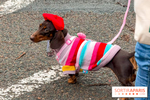 Paris Sausage Walk, la Marche des Teckels 2025