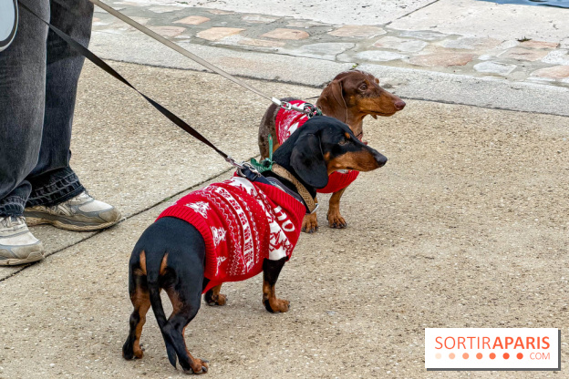 Paris Sausage Walk, la Marche des Teckels 2025