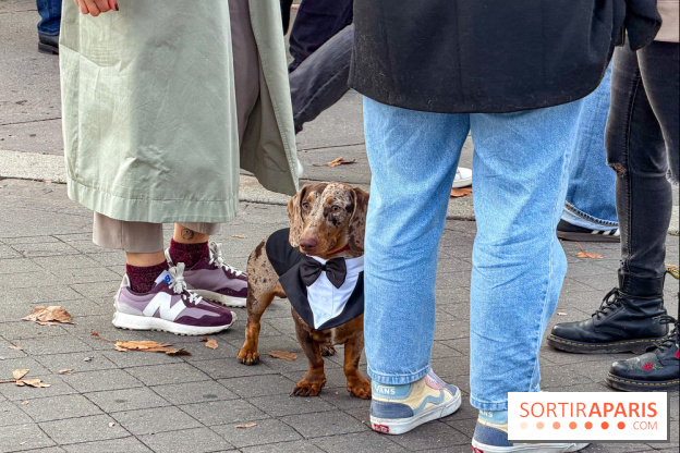 Paris Sausage Walk, la Marche des Teckels 2025
