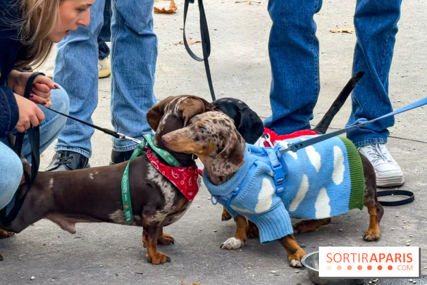 Paris Sausage Walk, la Marche des Teckels 2025