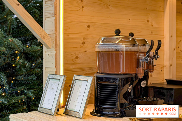 Noël 2025 aux Galeries Lafayette Haussmann : une patinoire éphémère sur les toits de Paris - IMG 3693