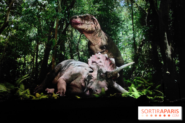 Dinosaures : l'expérience immersive qui nous fait remonter le temps à l'Atelier des Lumières, photos - fotor 1764680104761