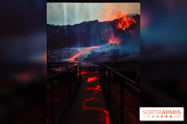 Dinosaures : l'expérience immersive qui nous fait remonter le temps à l'Atelier des Lumières, photos - fotor 1764681019826