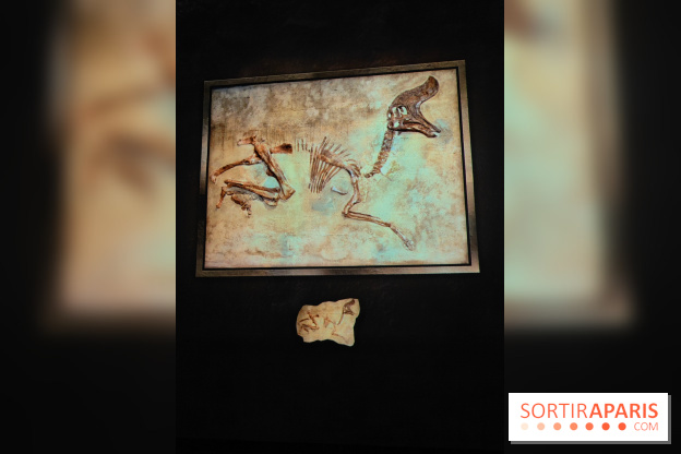 Dinosaures : l'expérience immersive qui nous fait remonter le temps à l'Atelier des Lumières, photos - fotor 1764680829041