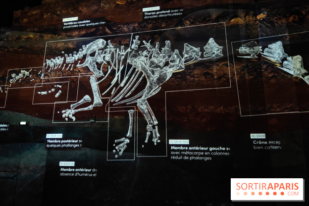Dinosaures : l'expérience immersive qui nous fait remonter le temps à l'Atelier des Lumières, photos - fotor 1764680808767