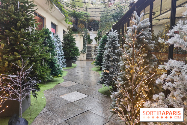 Noël danois à la Maison du Danemark : un voyage culturel pour les fêtes sur les Champs-Elysées - fotor 1764846290624